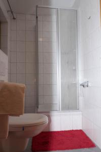 菲尔斯滕采尔Gasthof zur Alten Post-Pension的带淋浴和卫生间的浴室以及红色地毯。