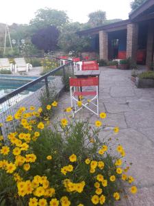 拉库布蕾Hosteria Pastoral & Spa的围栏旁种有黄色花的花园