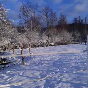 FraizeLe Gîte du Cheval Blanc的覆盖着雪地的围栏和树木