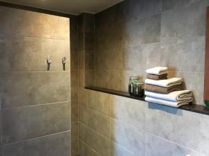 多德雷赫特B&B Appelsteiger的带淋浴的浴室,配有架子上的毛巾