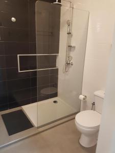 明德卢Casa Io - Djeu的一间带卫生间和玻璃淋浴间的浴室