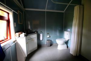 怀托摩洞穴伍德林公园汽车旅馆的绿色浴室设有卫生间和窗户
