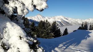 玛丽亚普法尔费佛霍夫酒店的白雪覆盖的山,有树木,有雪覆盖的山