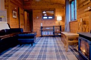 罗厄德南Caol Gleann Lodge的小木屋内带壁炉的客厅