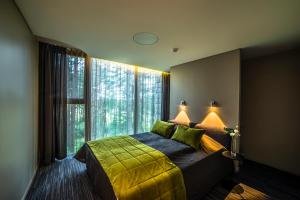 特拉凯托尼度假酒店的一间卧室设有一张床和一个大窗户