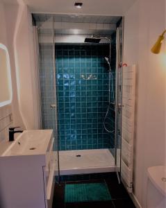 图尔Appartement spacieux avec une vue sur Tours ( 38m²) -Gite de Bellevue的带淋浴的浴室和玻璃门