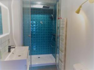 图尔Appartement spacieux avec une vue sur Tours ( 38m²) -Gite de Bellevue的带淋浴和盥洗盆的浴室