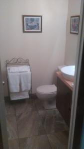 蒙特朗布朗Bernache的浴室设有卫生间、水槽和毛巾