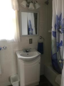 卡斯特Chalet Motel的一间带水槽、镜子和淋浴的浴室