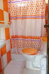 明多Mindoxtrem Birds的浴室配有带浴帘的卫生间