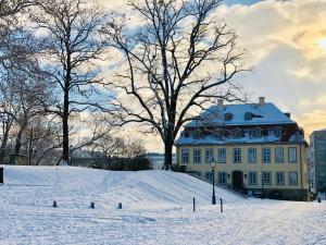 德累斯顿剧院博物馆酒店的雪覆盖的山顶上的房子