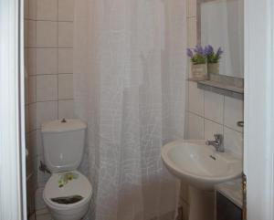 艾斯普罗瓦塔DiVa apartment的一间带卫生间和水槽的浴室