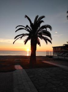 艾斯普罗瓦塔DiVa apartment的日落时在海滩上种植棕榈树