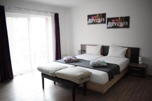克卢日-纳波卡Bruno Apartment的一间卧室设有两张床和大窗户