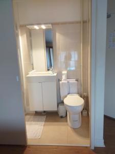 萨勒布里Hôtel le Lion d'Or的浴室配有白色卫生间和盥洗盆。