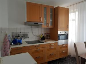赖兴巴伊姆福格特兰Apartments Vogtlandblick的厨房配有木制橱柜和炉灶烤箱。