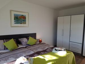 赖兴巴伊姆福格特兰Apartments Vogtlandblick的一间卧室配有一张带黄色和紫色枕头的床
