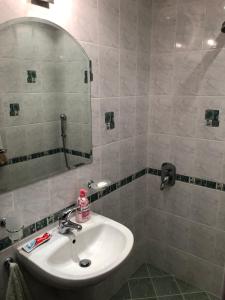 巴奇科伏Ambrozia Spa and Relax family house的一间带水槽和镜子的浴室