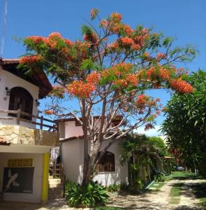 帕拉库鲁Paracuru Kite Village的房子前有红花的树
