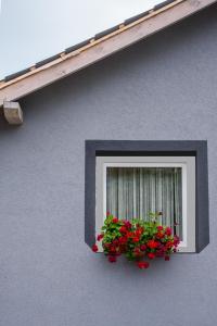 巴拉顿凯奈谢Orchidea Apartman的有一扇窗户,里面装着红色的鲜花