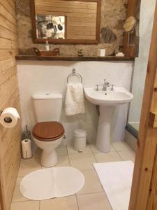 阿伯劳尔The Barn | Aberlour的一间带卫生间和水槽的浴室