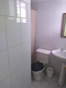 圣地亚哥安加莫斯酒店的一间带卫生间和水槽的浴室