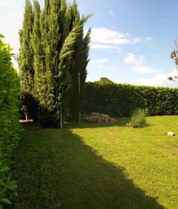 A Viterbo Terme "Casa Vacanze Al Melograno"外面的花园