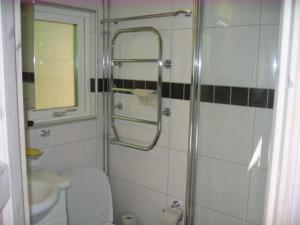 DegebergaStrandstugan的带淋浴、卫生间和盥洗盆的浴室