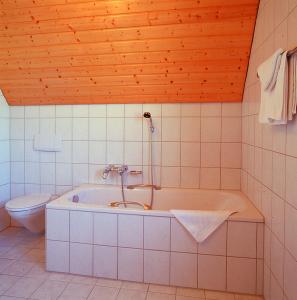 劳尔Hotel - Gasthof Spessarttor的带浴缸和卫生间的浴室。