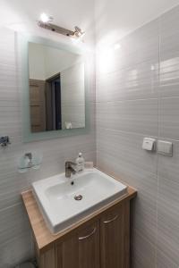 瓦赫河畔新梅斯托Bed & Breakfast Hotel Perla的一间带水槽和镜子的浴室