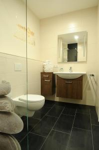PritzerbeFerienanlage Pritzerbe的一间带卫生间、水槽和镜子的浴室