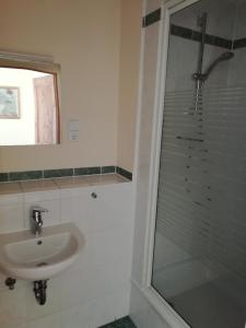拉德博伊尔埃斯万斯道尔夫旅馆的一间带水槽和淋浴的浴室