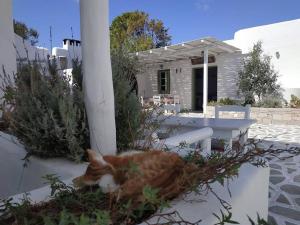 阿达玛斯Thalassitra Private Pool Suites & Spa的一只橙色和白色的猫躺在房子前面的墙上