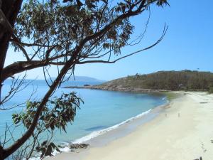 O PindoApts Playa Monte Pindo的从树上欣赏海滩美景
