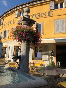 伯韦Hôtel du Cygne的酒店前方的喷泉