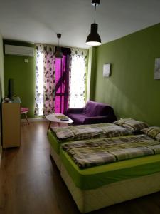 普列文Sasso-студио 3的绿色卧室配有床和沙发