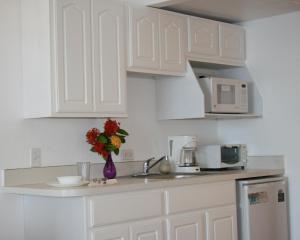 克里斯琴斯特德上岛酒店的厨房配有白色橱柜和花瓶,