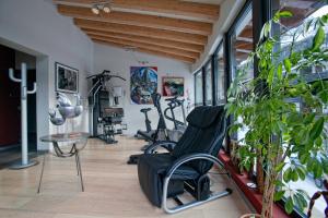 圣马蒂诺-迪卡斯特罗扎利金娜酒店的健身房,室内设有健身器材和植物