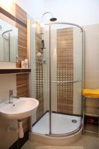 科希策Apartmán Moyzesova的带淋浴和盥洗盆的浴室