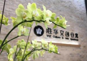 南宁胜华文创公寓的标志前有白色花的植物