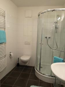格拉茨City Center Apartment的带淋浴、卫生间和盥洗盆的浴室