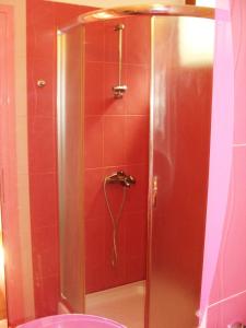 希典Sunny Paradise Family Hotel的浴室设有红色瓷砖和淋浴。