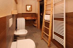 萨奥兹-杜尔克斯艾达公寓的一间带卫生间、水槽和梯子的浴室