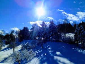 Rattenberg迪尔格酒店的一片雪覆盖的田野,在天空中满是树木和太阳