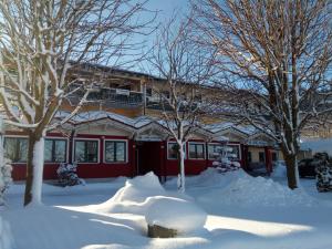 Rattenberg迪尔格酒店的一座房子,前面有树木,被雪覆盖着