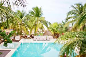 奥尔沃克斯岛卡拉科尔别墅酒店的一个带棕榈树和躺椅的游泳池
