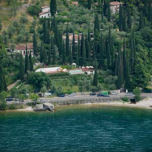 托里德尔贝纳科Residence Gardasee 2的树木的水域景观