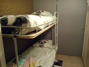拉萨尔莱阿尔佩Le Galibier的一只狗躺在双层床的上方