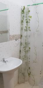 恩卡纳西翁Helecho's Hostal的浴室设有水槽和藤蔓淋浴帘。