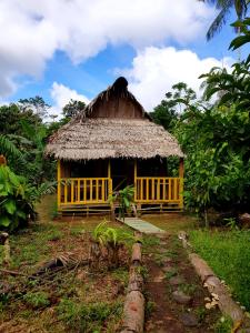 莱蒂西亚奥姆肖迪山林小屋的茅草屋顶的小小屋